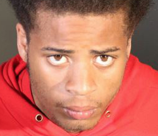 Man Accused of Shooting Lady Gaga's Dog Walker Released From Jail Due to a Clerical Error