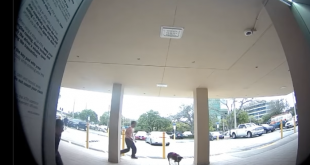 Man Used His Dog As A “Deadly Weapon” To Attack And Rob Man at Florida ATM