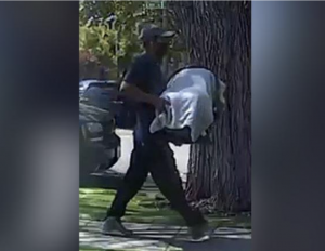 Stranger kidnapping baby Brandon.