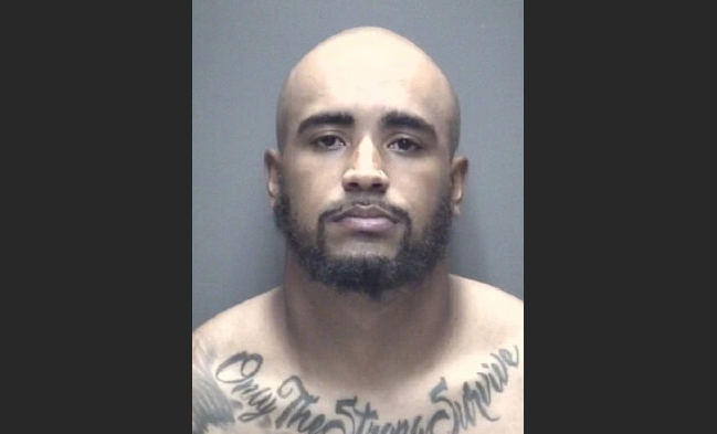 Vince Wilfork's Son Pleads Guilty to Stealing His Super Bowl Rings