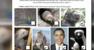 Oakland County Teacher Placed On Leave After Giving Assignment That Placed Obama Beside Monkeys