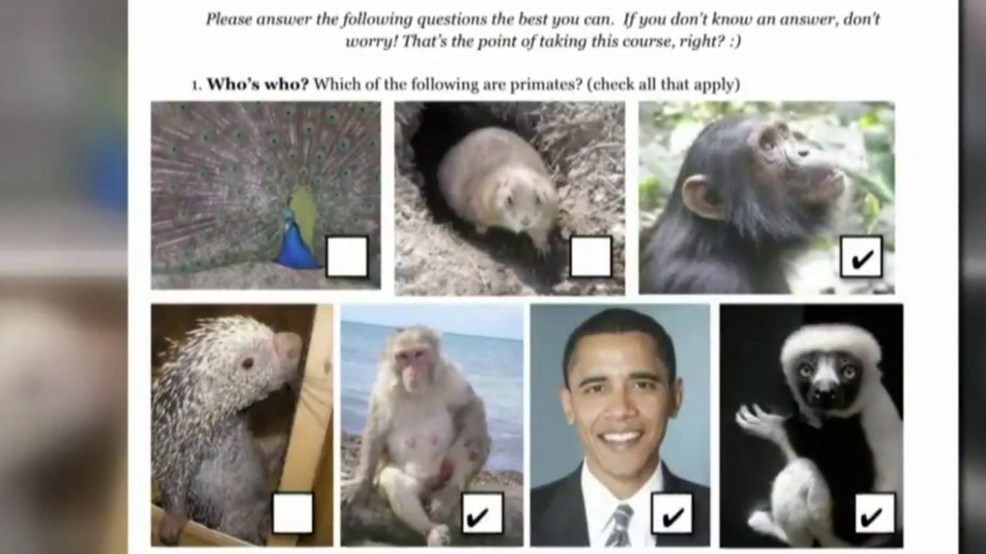 Oakland County Teacher Placed On Leave After Giving Assignment That Placed Obama Beside Monkeys - Baller Alert Oakland County Teacher Placed On Leave After Giving Assignment That Placed Obama Beside Monkeys