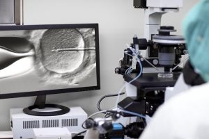 Testicle tissue