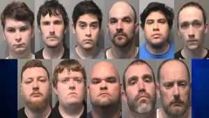 11 arrested in multi-county sex sting