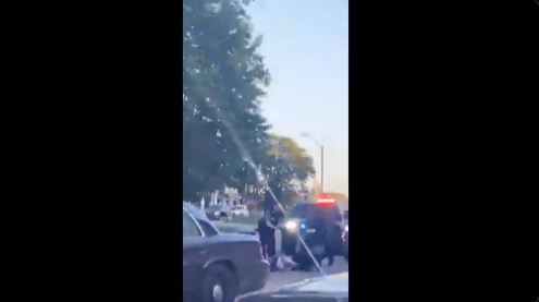 Unarmed Black Pregnant Shot Five Times By Police After Putting Her Hands Up