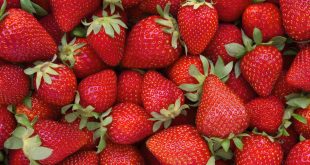 Hepatitis A Outbreak Linked to Organic Strawberries Leaves 13 Hospitalized