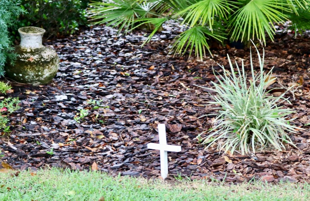 Wayne and Bonnie Anderson White Cross