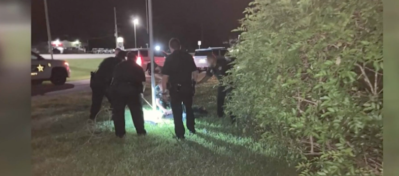 Man In Florida Bit By What He Thought Was A Leashed Dog...Turned Out To Be An Alligator