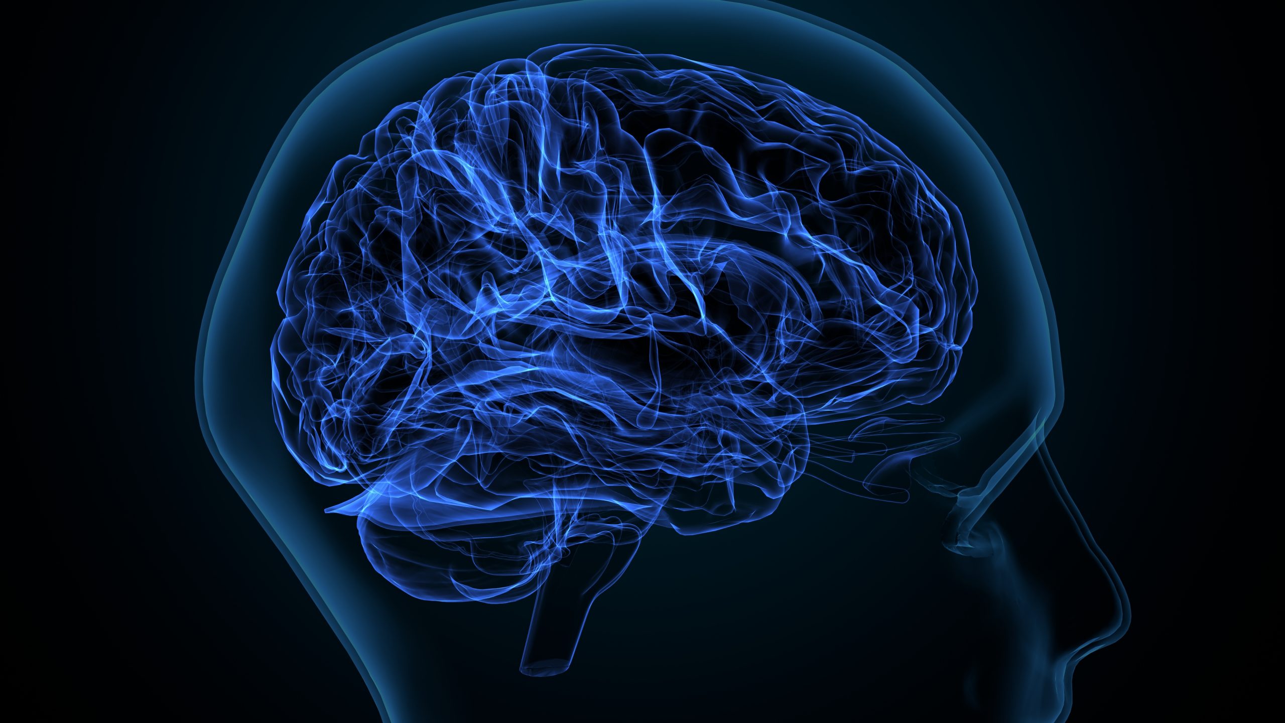 3d illustration of brain white matter of cerebral hemisphere anatomy. - Baller Alert Experts Details Why Certain Food And Drinks Aren’t Good For Your Brain Health