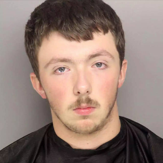 4-Year-Old Girl's Body Found in Bin in Woods After Teen Brother Allegedly Suffocated Her