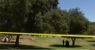 Burning Body Found Hanging From Tree In L.A.'s Griffith Park, Police Believe Person Took Their Own Life