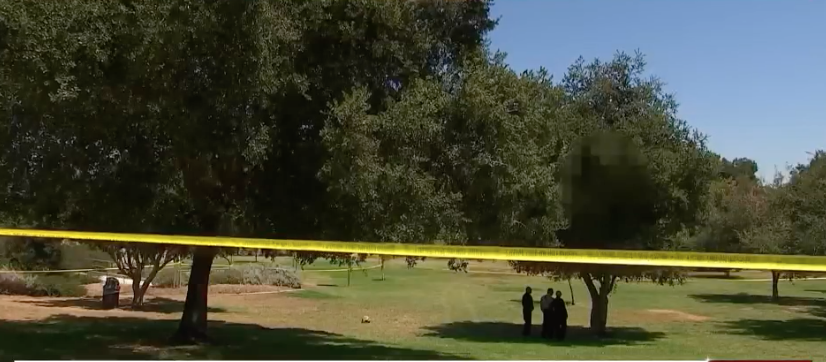 Burning Body Found Hanging - Baller Alert Burning Body Found Hanging From Tree In L.A.'s Griffith Park, Police Believe Person Took Their Own Life
