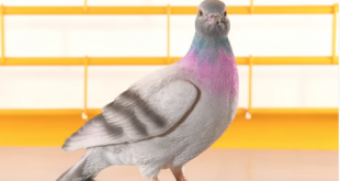 Ballerific Fashion: JW Anderson Selling Pigeon Purse for $890