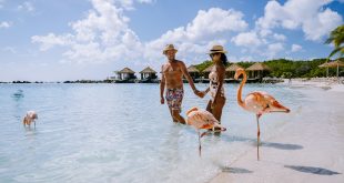 Aruba Accepting Applications for the “Easiest Job in the World”