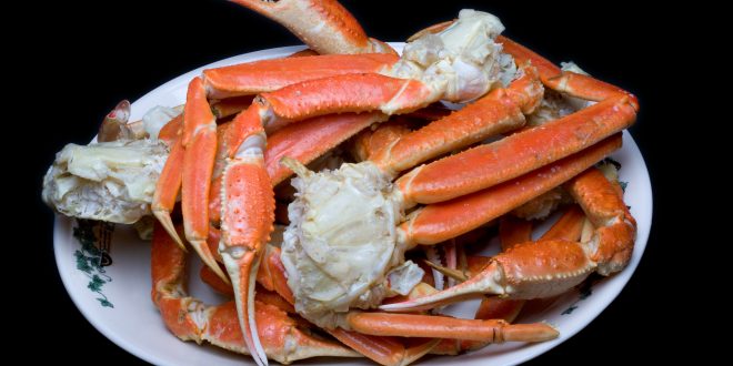 Alaska Snow Crab Season Canceled After One Billion Crabs Disappeared