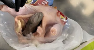 Passenger Busted by TSA Agents for Trying to Smuggle Gun Inside Raw Chicken
