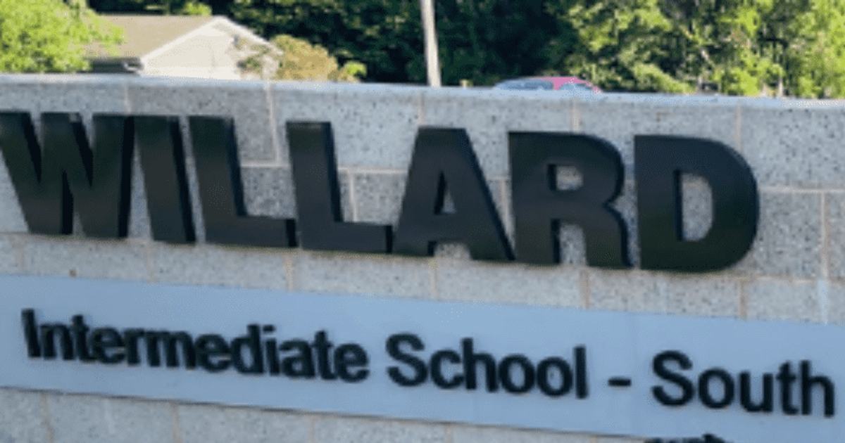 Eighteen Students Bitten In Mass Dog Attack At School Playground