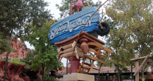 Disney to Officially Close “Splash Mountain” in January Following Racial Stereotyping Criticism