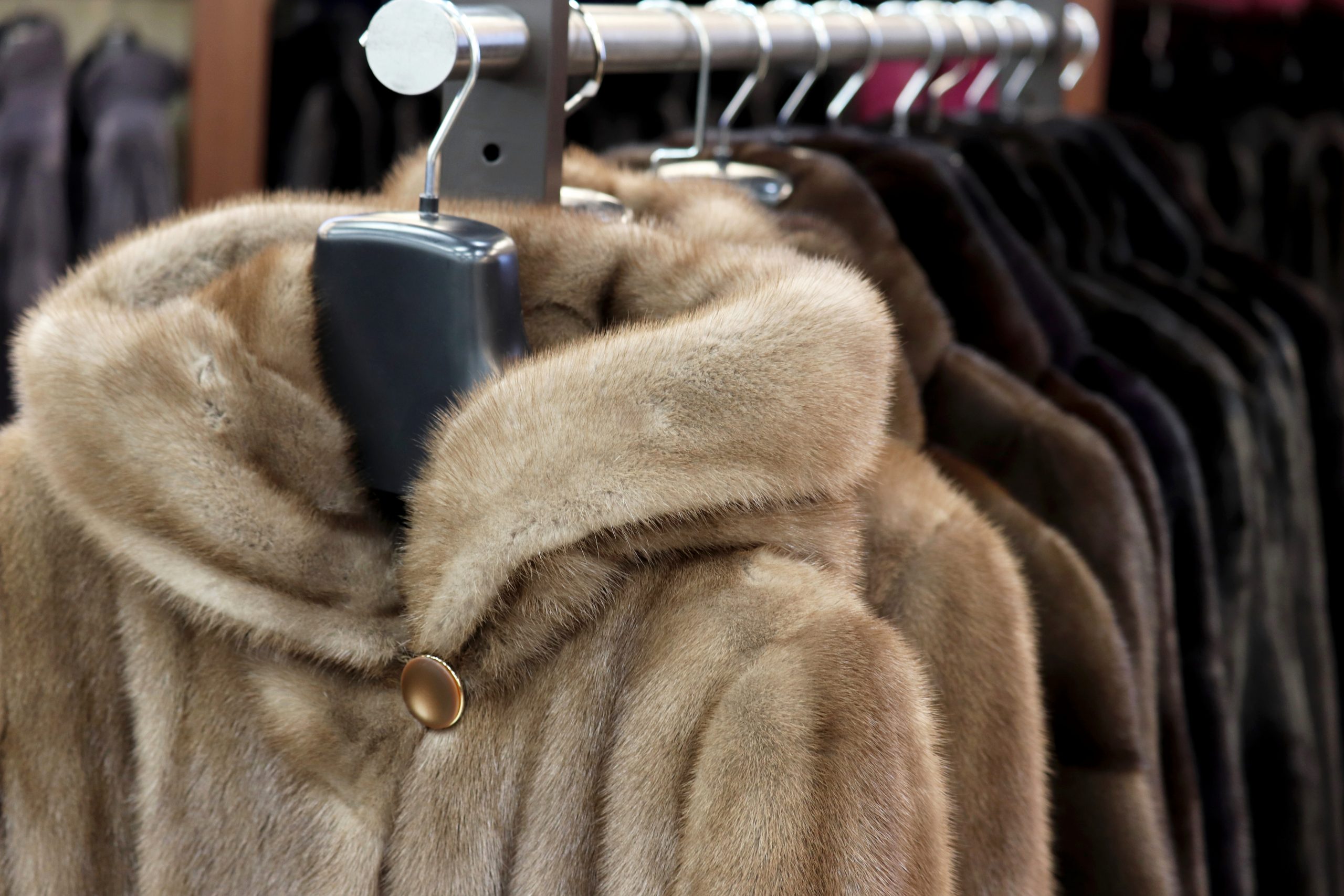 California New Law Bans The Sale and Manufacturing of Fur In The State