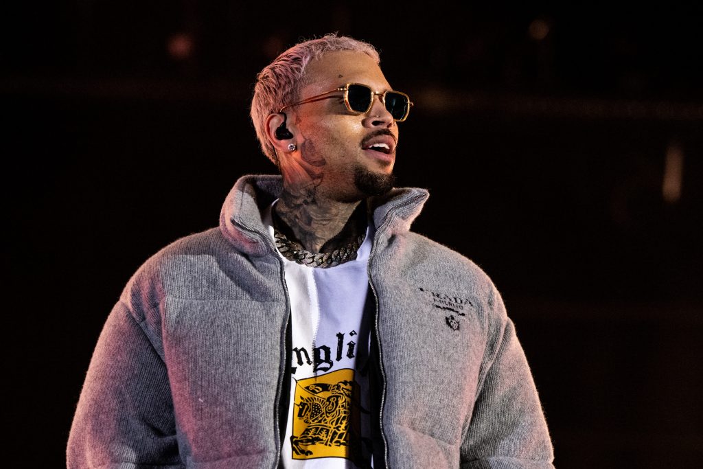 Chris Brown Is Fighting $12.9 Million Dog Attack Verdict: His Lawyers Say One Rihanna Question Poisoned The Jury