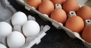 Dollar Tree Can No Longer Afford to Sell Eggs Due to Rising Prices