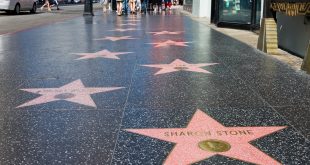 Dr. Dre, Angie Martinez, Chadwick Boseman & Sheryl Lee Ralph Set To Receive A Star On Hollywood's Walk Of Fame