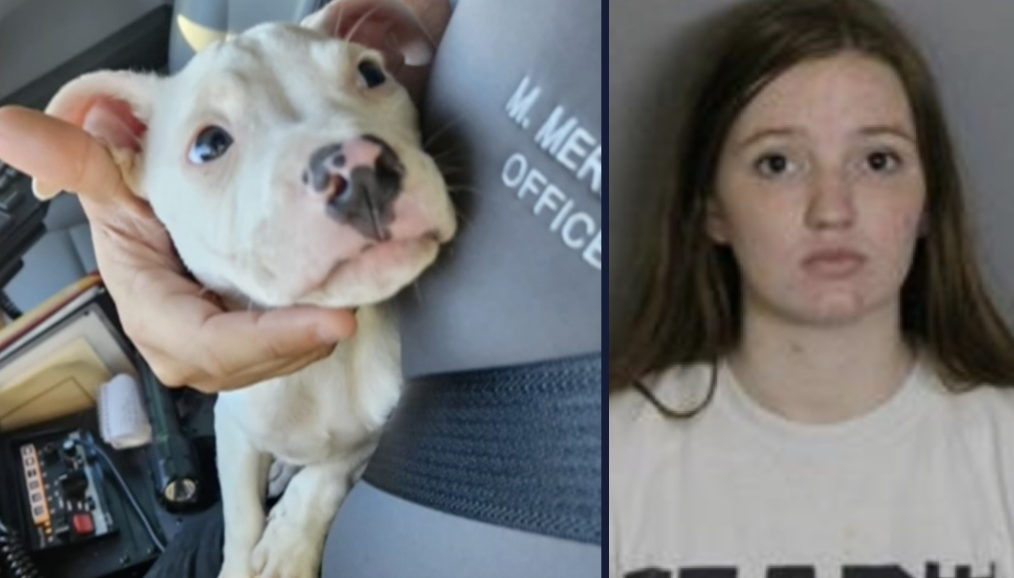 Mom Charged with Neglect After 3-Month-Old Pit Bull Mauls Off Baby’s Fingers