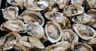 Health Officials Issue Warning After Missouri Man Dies From Eating Raw Oysters From a Food Stand