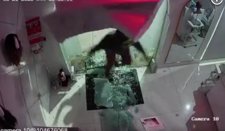 Thieves Steal Wigs From Beverly Hills Shop That Serves Cancer Patients