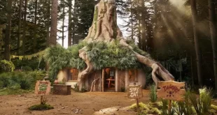 AirBnB Is Now Offering A Free Stay At Shrek’s Swamp