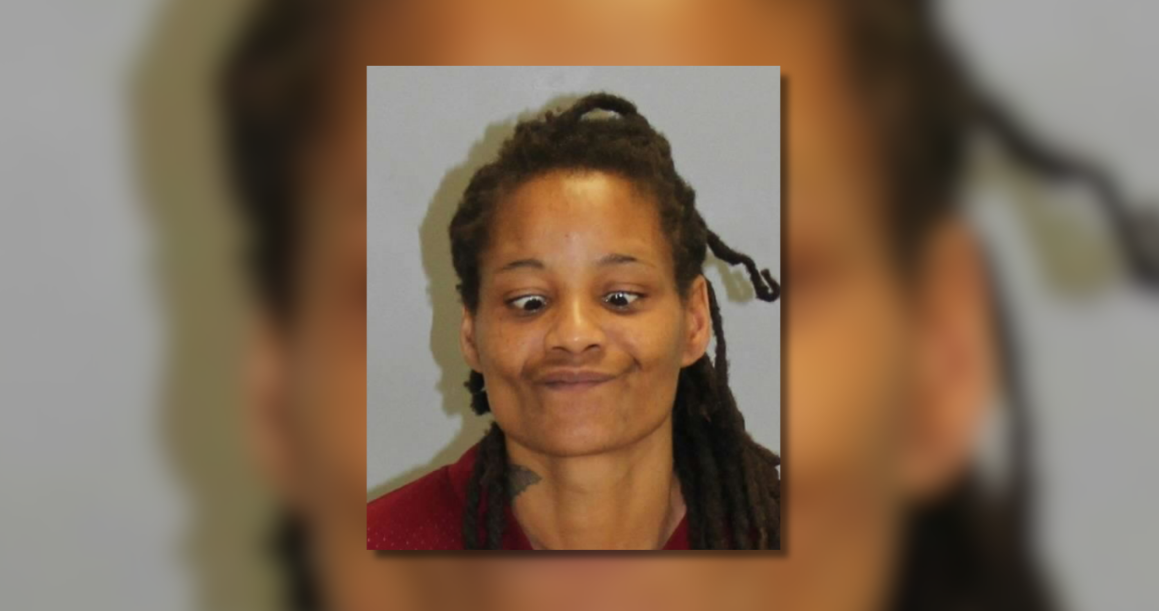 Atlanta Woman Faces Assault Charges For Randomly Stabbing Taxi Driver and Officer at Airport