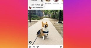 Instagram Now Testing A Verified Only Feed