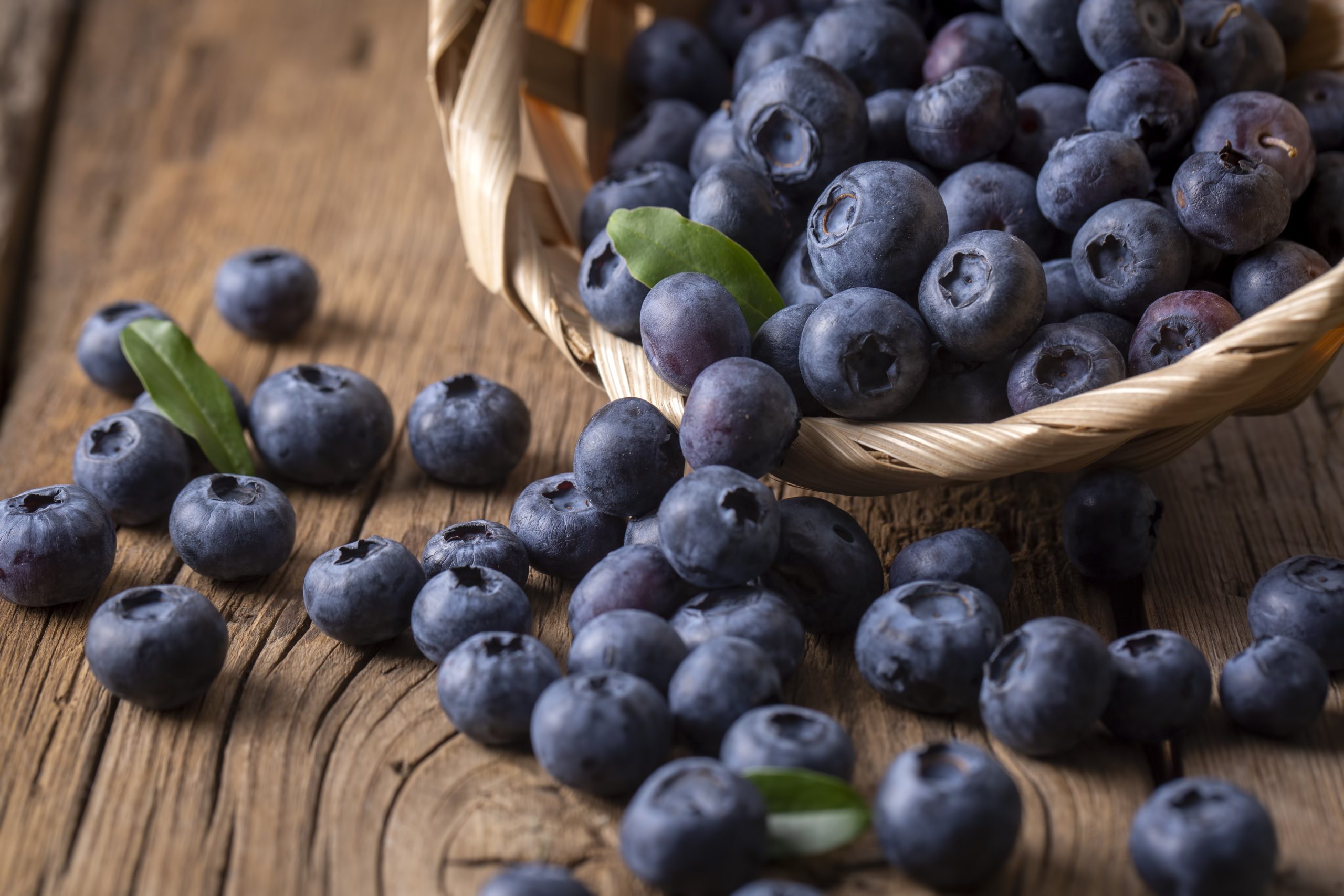 Thousands of Blueberries Recalled After Listeria Found in Georgia Shipment
