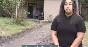Florida Deputies Initiate A Criminal Investigation After A Woman Comes Home To Find Her Entire Driveway Missing
