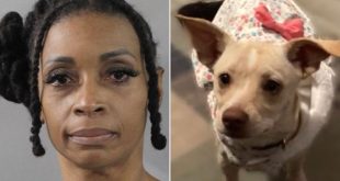 Florida Nurse Charged With Three Counts of Felony Animal Cruelty After Allegedly Killing Neighbors’ Cats, Dog