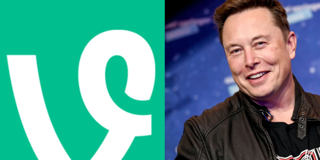 Elon Musk Hints at Vine's Comeback: Here's a Look At Some Of The Apps Most Viral Clips