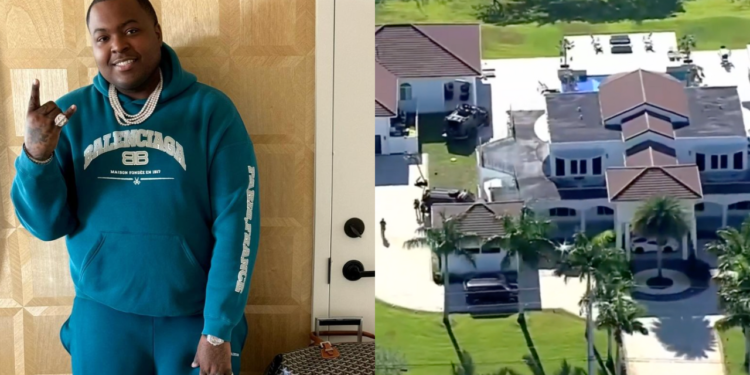 Sean Kingston's mother was taken into custody during a Thursday morning raid of a Florida mansion rented by the singer, officials said. The raid was part of an ongoing investigation.