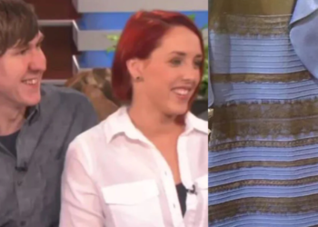 Husband Who Sparked Viral "Dress Debate" Pleads Guilty to Attempting to Strangle Wife