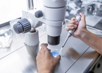Senate Republicans Block IVF Protections Bill Amid Reproductive Rights Clash