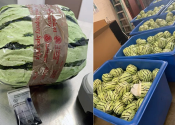 Meth Disguised as Watermelons Seized at U.S.-Mexico Border