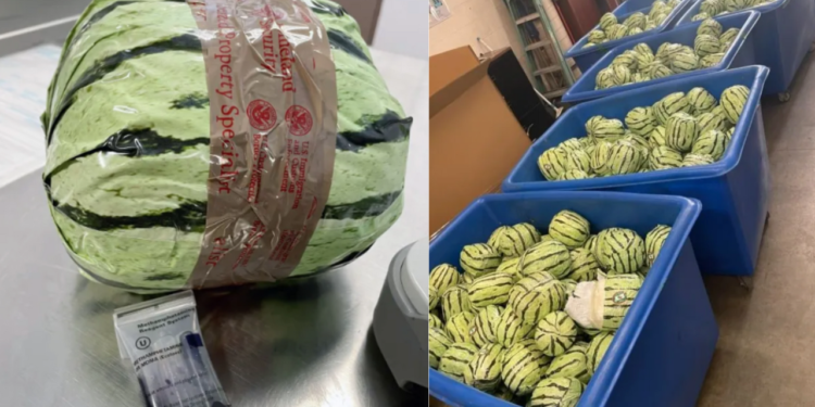 Meth Disguised as Watermelons Seized at U.S.-Mexico Border