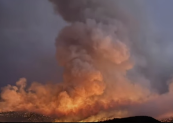 Man's Attempt to Cremate Dog Ignites One of Colorado's Largest Wildfires This Year