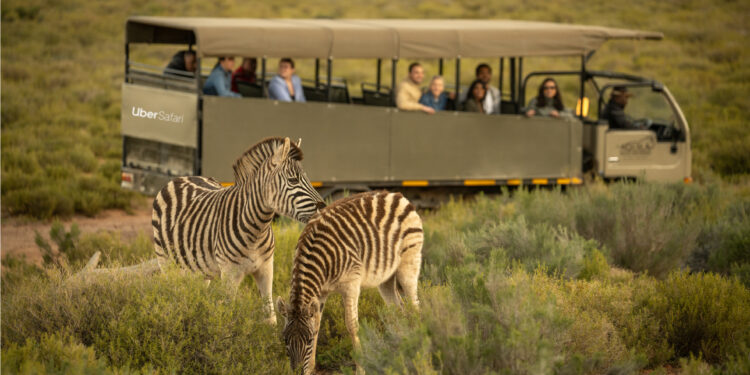 Ballerific Travel: Uber Launches Safari Adventures in South Africa