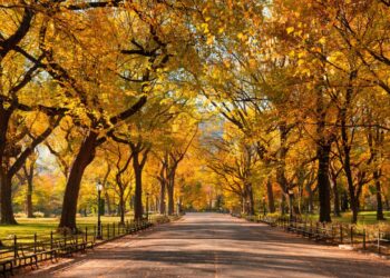 Where to See the Best Fall Foliage Across the U.S. This Year