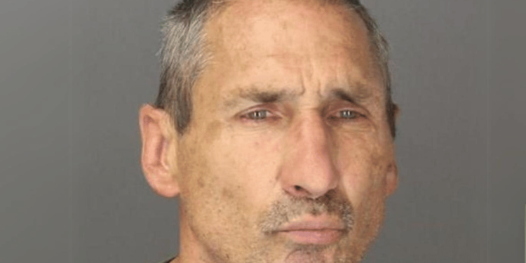 Michigan Man Allegedly Assaults Postal Carrier Over Mail Featuring Vice President Kamala Harris