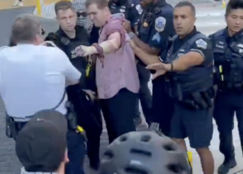 Journalist Sets Himself Ablaze Outside the White House During Pro-Palestinian Protest [Video]