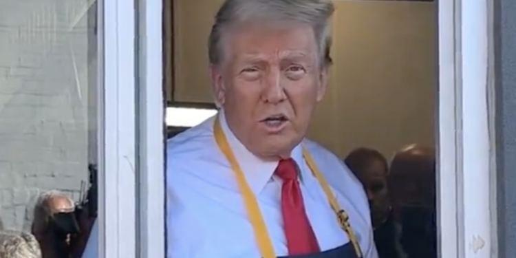 Donald Trump Becomes a McDonald's Employee for a Day, Dodges Questions About Raising Federal Minimum Wage [Video]