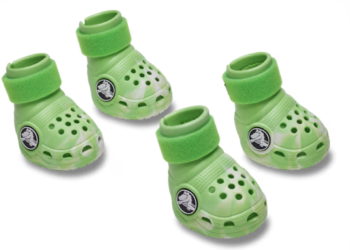 Ballerific Fashion: Crocs' First-Ever Dog Boots Sell Out in Days, Matching Human Clogs Still Up for Grabs [Video]
