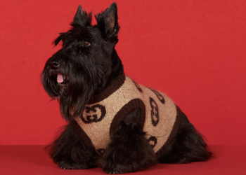 Ballerific Fashion: Gucci's Pet Collection Will Keep Your Pooch Fly This Holiday Season - Here are Three of the Standouts