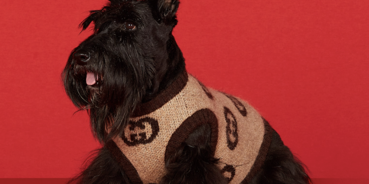 Ballerific Fashion: Gucci's Pet Collection Will Keep Your Pooch Fly This Holiday Season - Here are Three of the Standouts